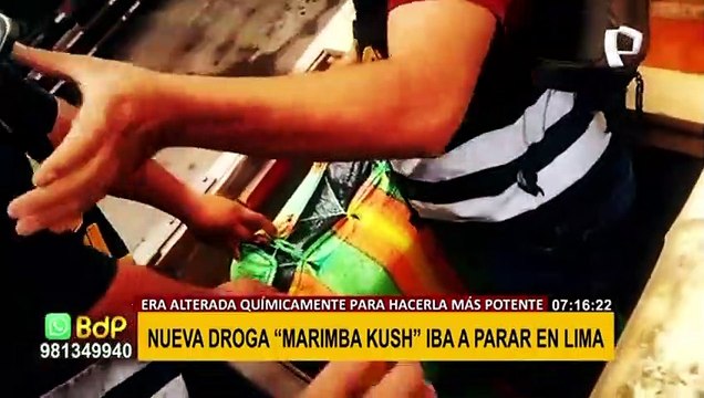 Policía trujillana incauta nueva droga Marimba Kush que llegaría a playas del sur de Lima