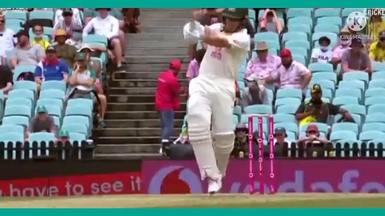 The ashes series 4th test highlights