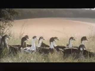 Le bonheur est dans le pré - 21 septembre