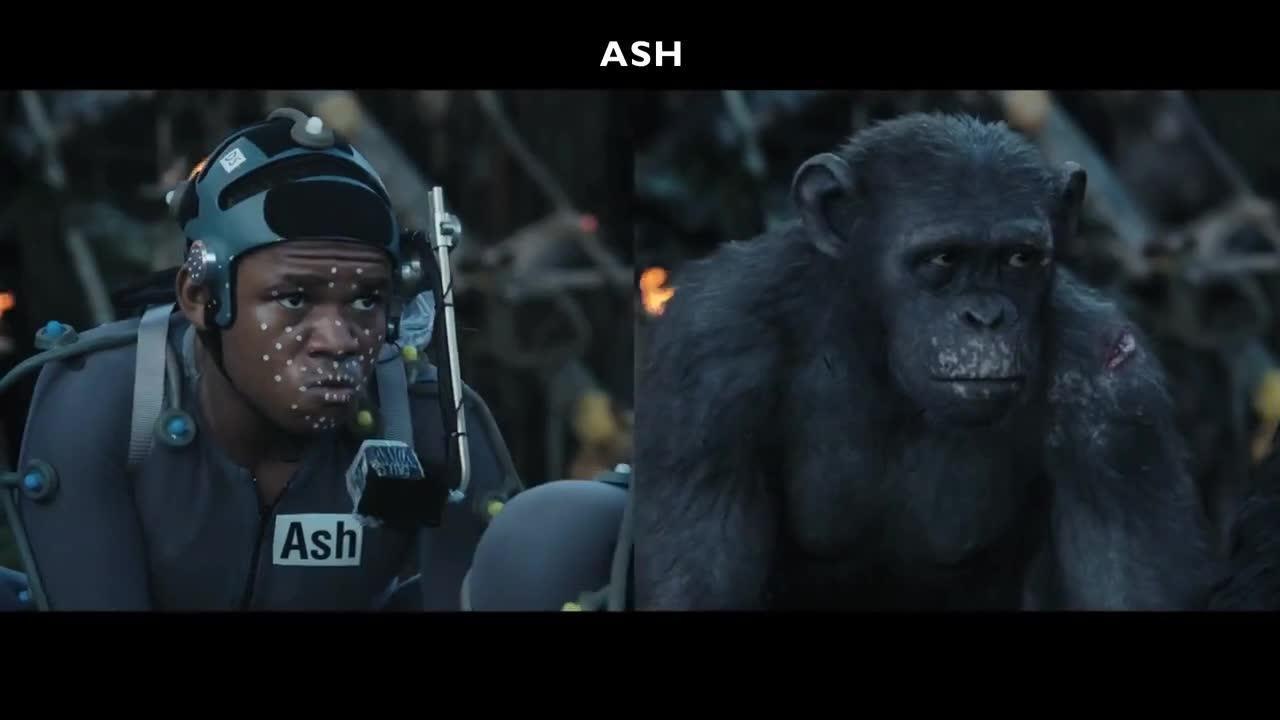 La _planète des singes : l'affrontement