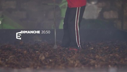 Noix de coco, le fruit du paradis - 10 septembre