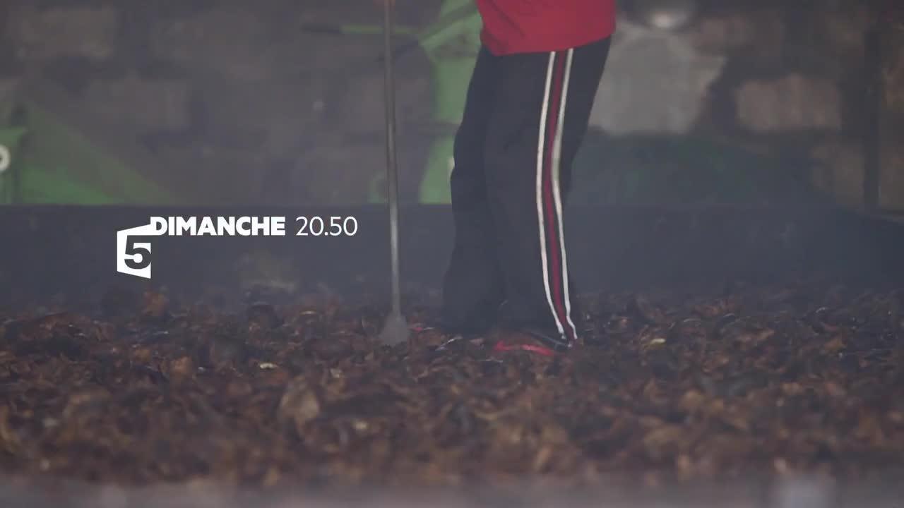 Noix de coco, le fruit du paradis - 10 septembre