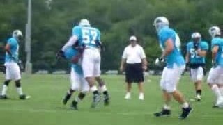Training camp panthers