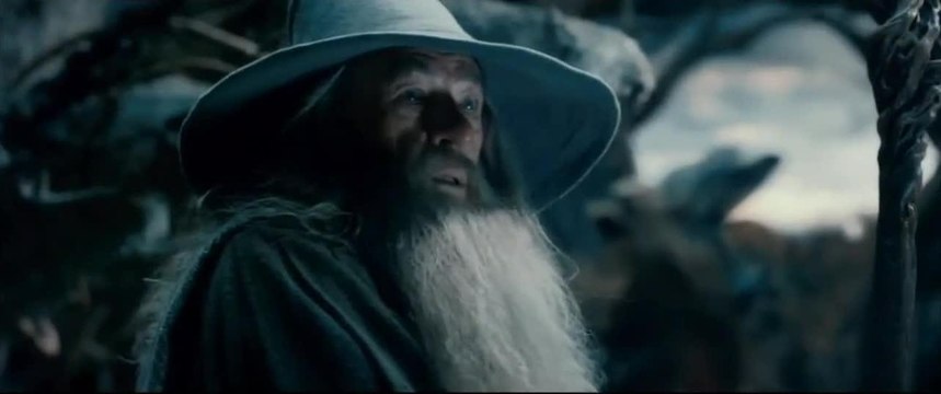 Le Hobbit : la désolation de Smaug