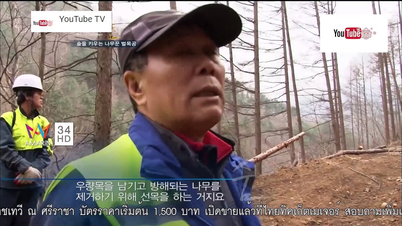 ฅ.คนขั้นเทพ ตอน อาชีพคนตัดไม้