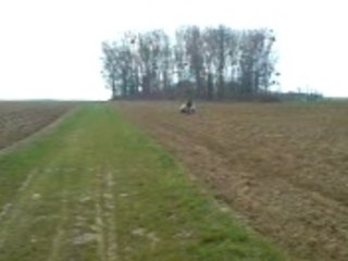 freestyle scooter tout terain mdr