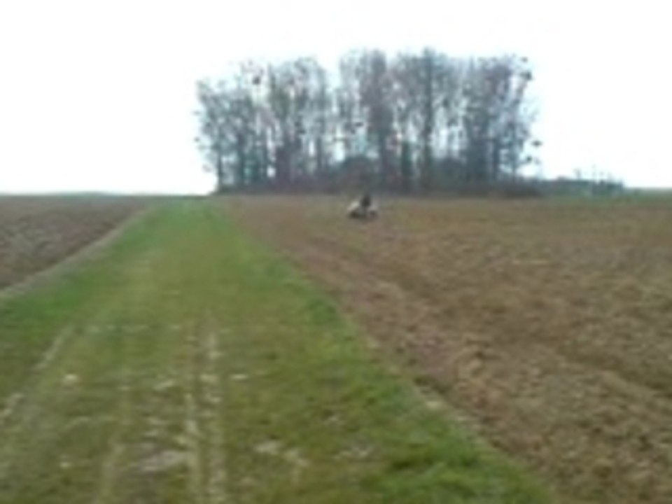 freestyle scooter tout terain mdr