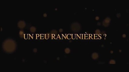 Mes stars et moi