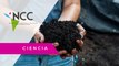 Xochimilco ejemplifica la importancia de impulsar la agroecología