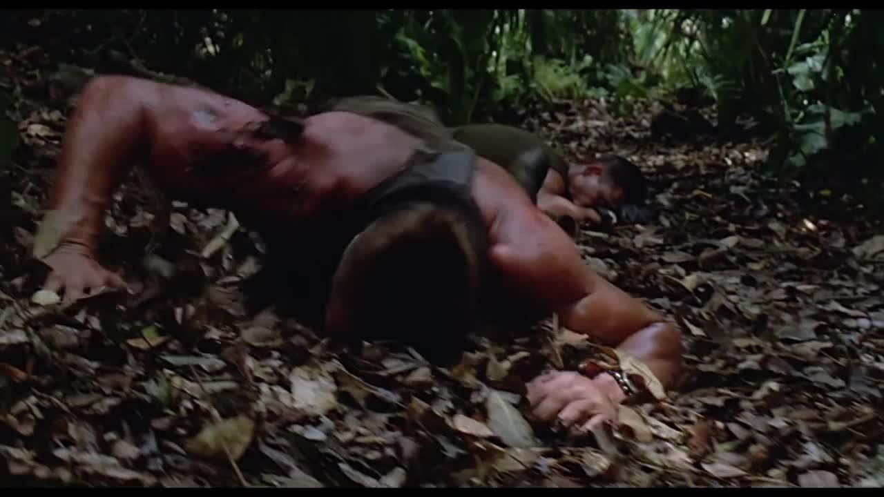 Predator