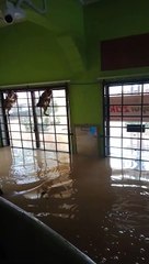 Rescuing Cats From Flooded Mosque