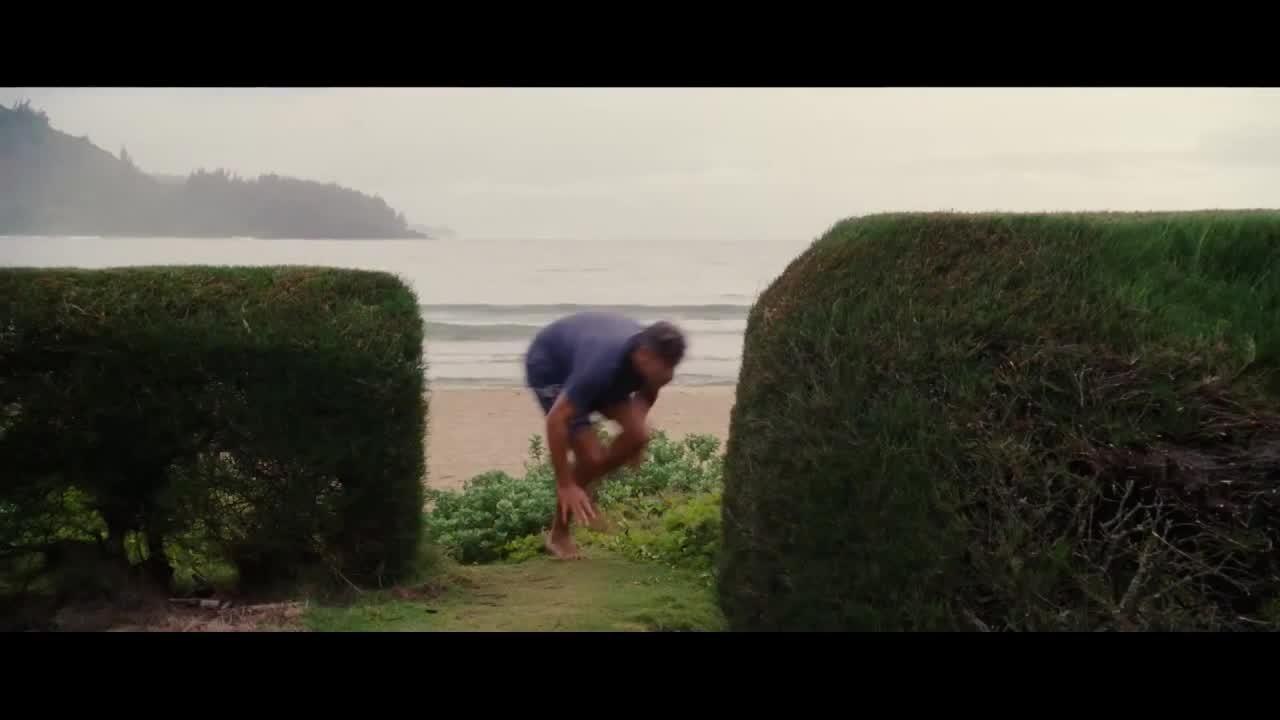 The Descendants