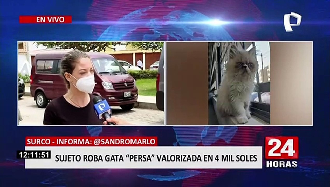 Surco: captan a sujeto se lleva gata persa valorizada en 4 mil soles