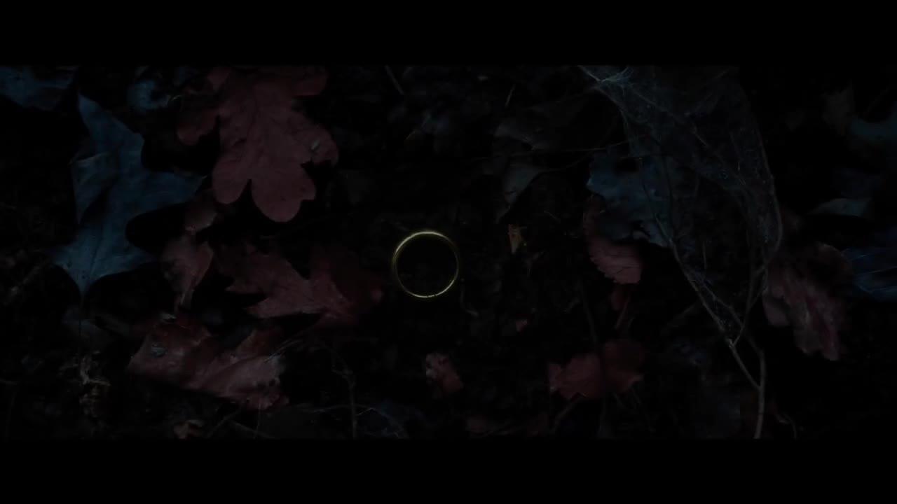 Le Hobbit : la désolation de Smaug