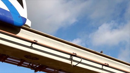 Disney World Gets Rid of Free Airport Transportation — and Replaces It With These Paid Opt