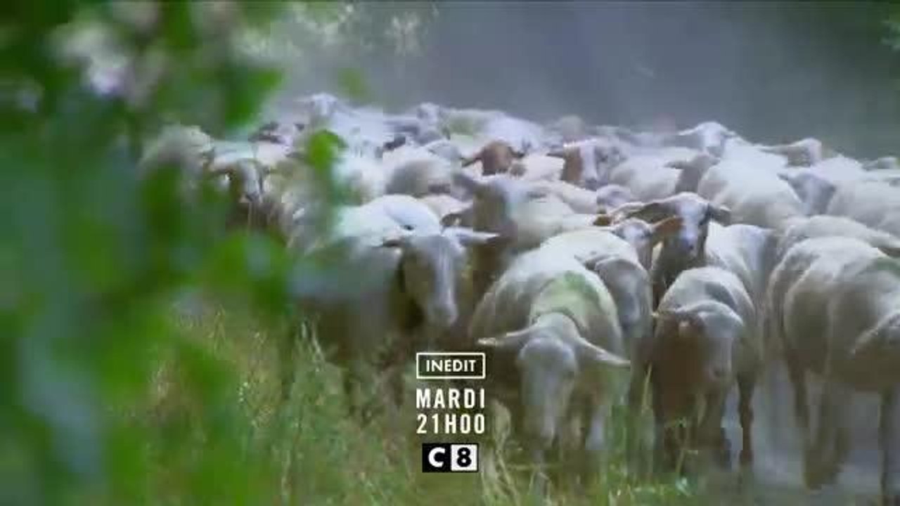 3 Jours dans les pas d'un Berger - 29 aout