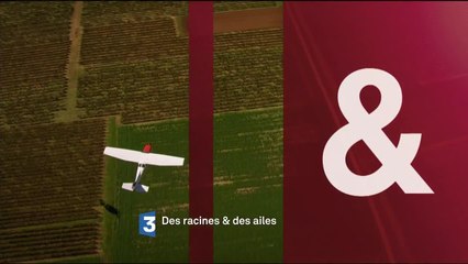 Des racines et des ailes - 19 juillet
