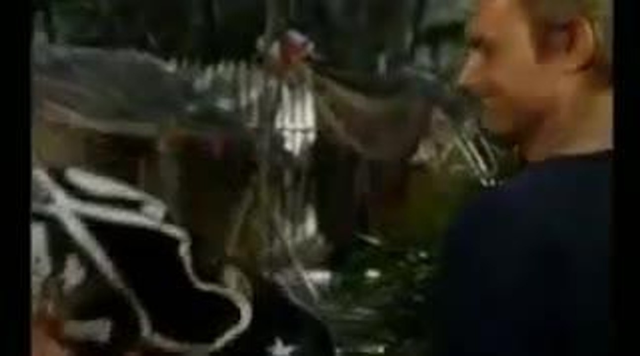 salut l'ami, adieu le tresor -12 aout