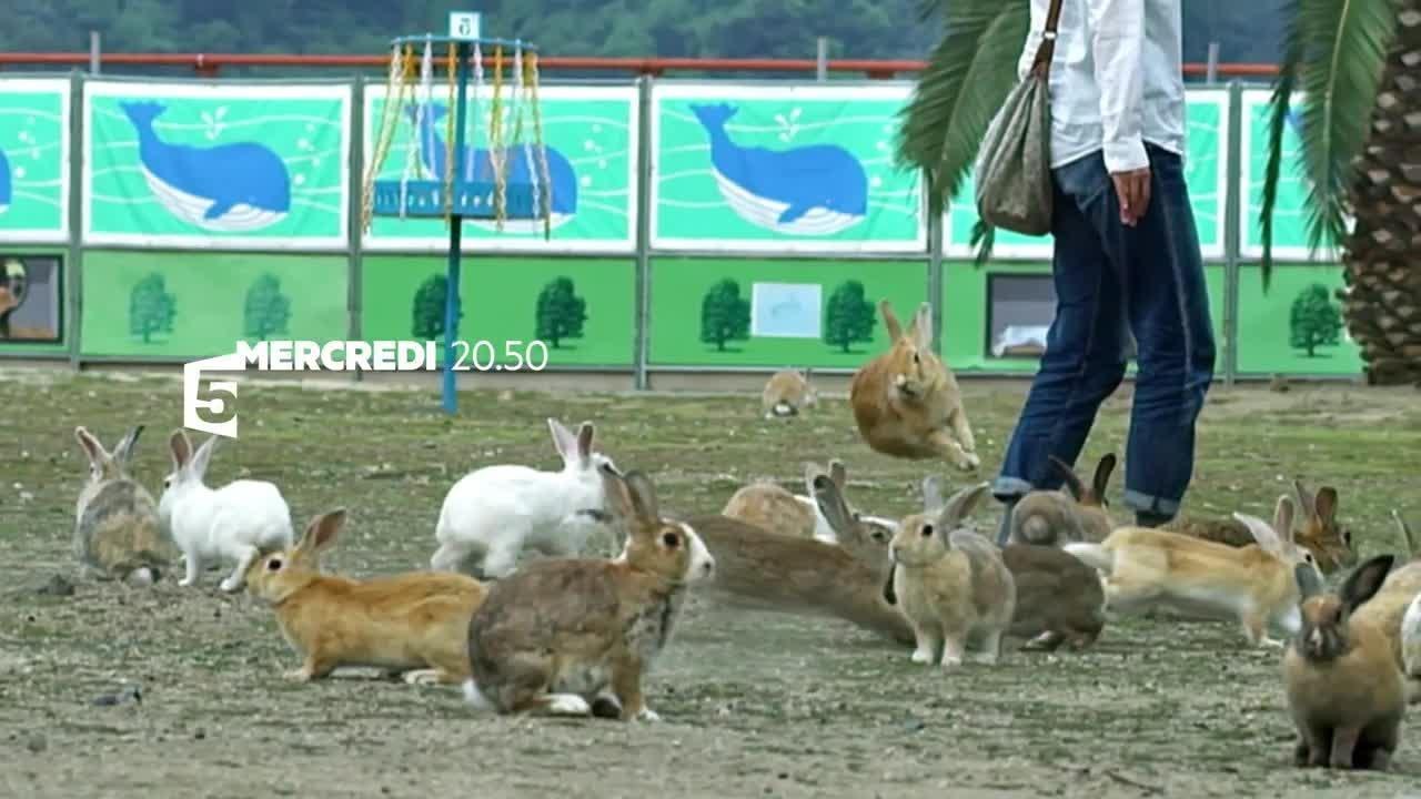 Nos animaux, doux dehors, sauvages dedans - 2 août