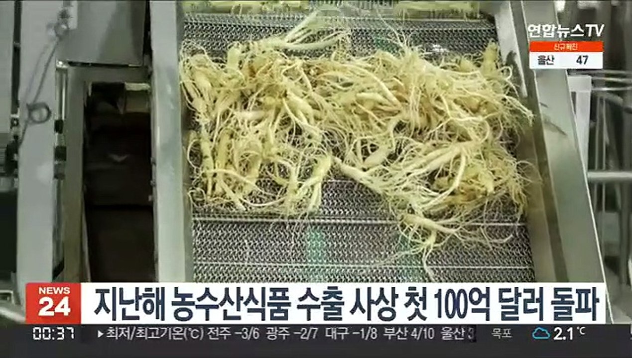 지난해 농수산식품 수출 사상 첫 100억달러 돌파