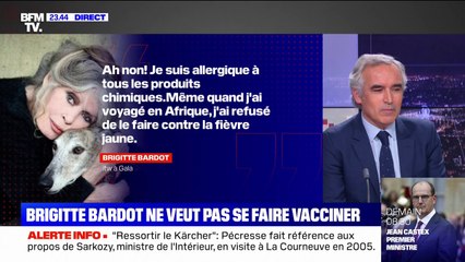 "Je suis allergique à tous les produits chimiques": Brigitte Bardot explique pourquoi elle refuse de se faire vacciner