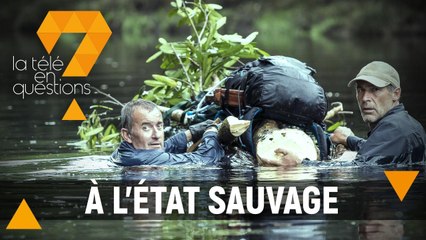 A l'état sauvage : De quelle assistance bénéficient les participants ?