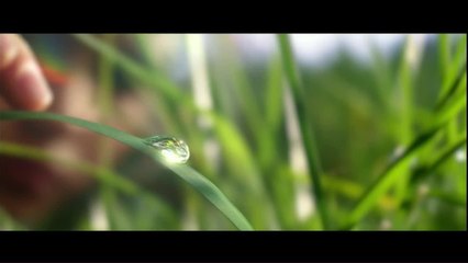 Le plus grand cabaret du monde - 11 juillet