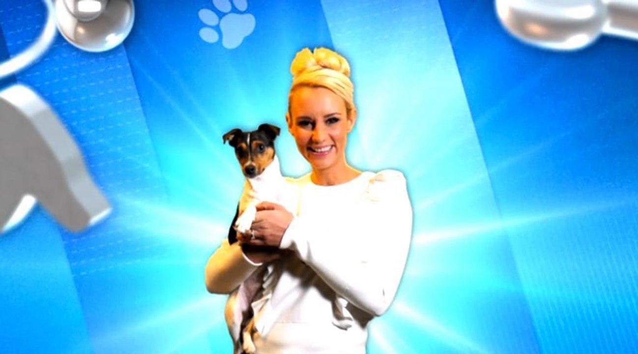 Larmes, fous rires... Elodie Gossuin aux commandes de 4 Pattes pour une famille