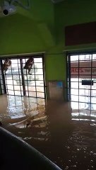 Rescuing Cats From Flooded Mosque