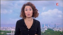 JT France 2 : Marie-Sophie Lacarrau s'excuse pour les problèmes techniques