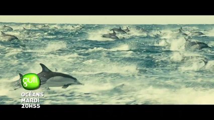 OCEANS - 20 juin