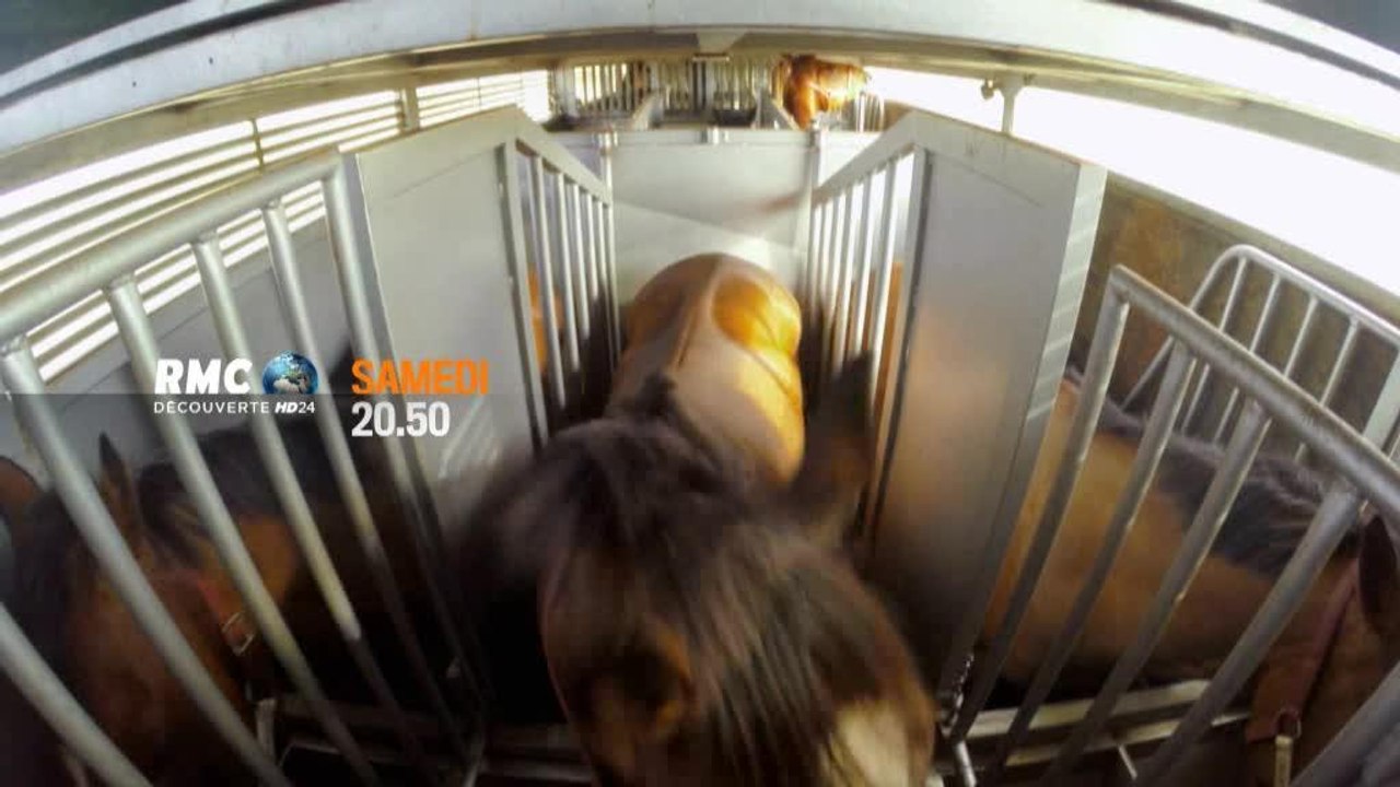 LES ROUTES DE L'ENFER AUSTRALIE - 27 mai