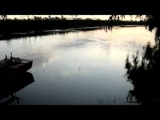 حالة من الهلع بين صيادي ترعة ميت يزيد بالغربية بعد ظهور تمساح جديد بالمياه