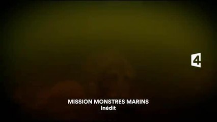 Mission monstres marins - 29 avril