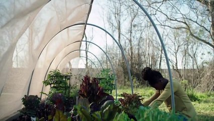 Queen Sugar Saison 1 - Trailer  (EN)