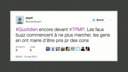 Chute des audiences de TPMP : l'explication par les fanzouzes
