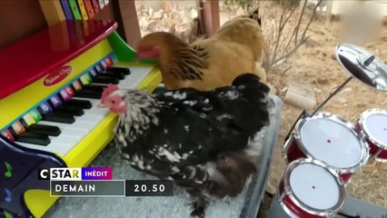 Le grand zap de Pâques - 14 avril