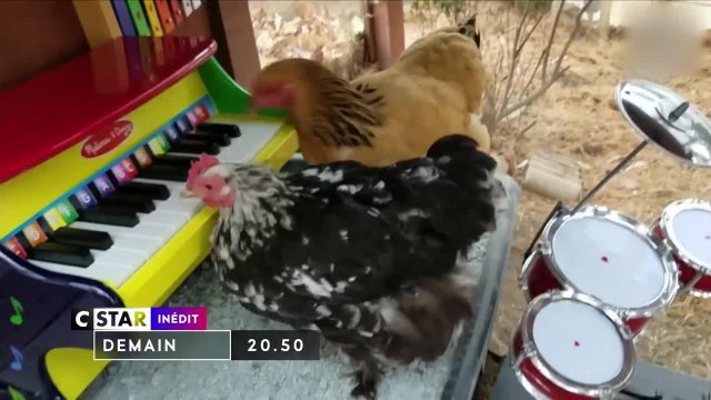 Le grand zap de Pâques - 14 avril