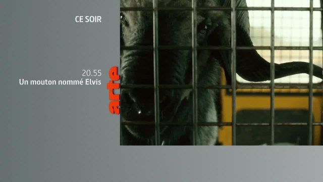 Trop jeune pour mourir - 21 avril