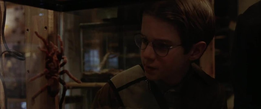 Arac Attack - 10 mai