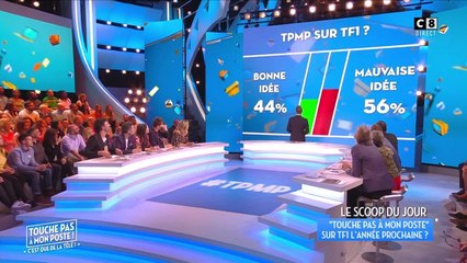 Touche pas à mon Poste bientôt sur TF1... Poisson d'avril !