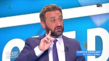 Après les critiques de Pamela Anderson, Cyril Hanouna annule son prime avec des animaux