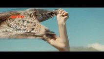 L hirondelle - 3 m