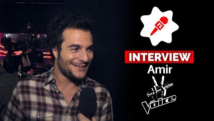 Amir : "J'ai souvent envie de prendre la place des coachs dans The Voice"