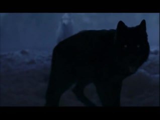 La Jeune fille et les loups - 12 février