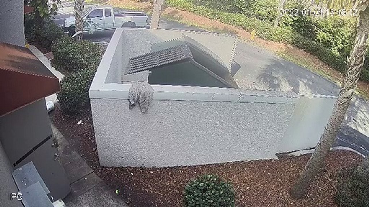 Man Faceplants While Taking Out the Trash