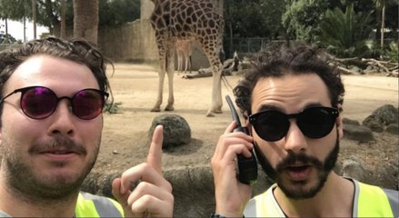 Porter un gilet jaune peut vous faire entrer partout gratuitement, la preuve