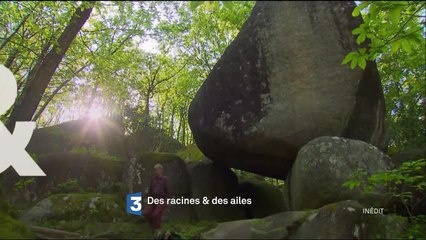 Des racines et des ailes - 4 janvier