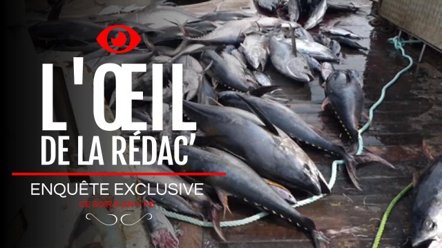 Que penser du numéro d'Enquête d'Exclusive sur les abattoirs et les élevages ? Voici l'Œil de la rédac'