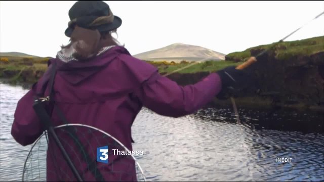 Thalassa - 25 novembre